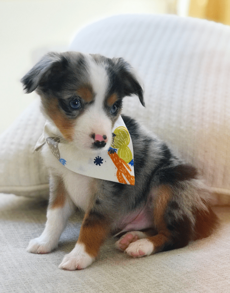 Screen Shot 2018-10-21 at 1.24.45 PM