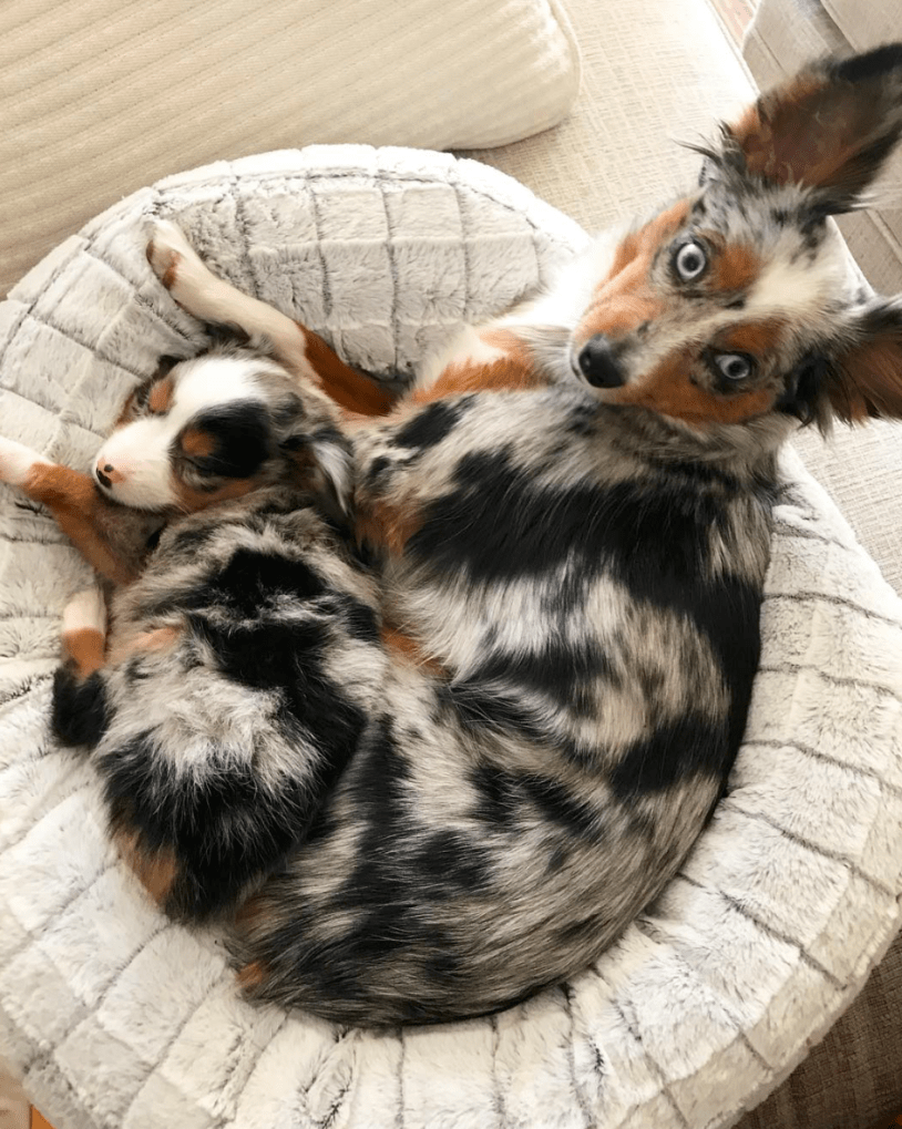 Screen Shot 2018-10-21 at 4.02.33 PM.png