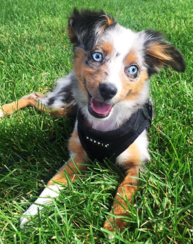 Screen Shot 2018-10-21 at 6.01.51 PM.png