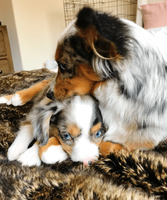 Screen Shot 2018-10-21 at 6.11.27 PM.png