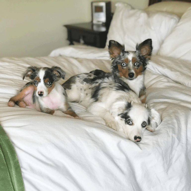 Screen Shot 2018-10-22 at 5.53.11 PM