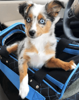 Screen Shot 2018-10-23 at 3.16.20 PM.png