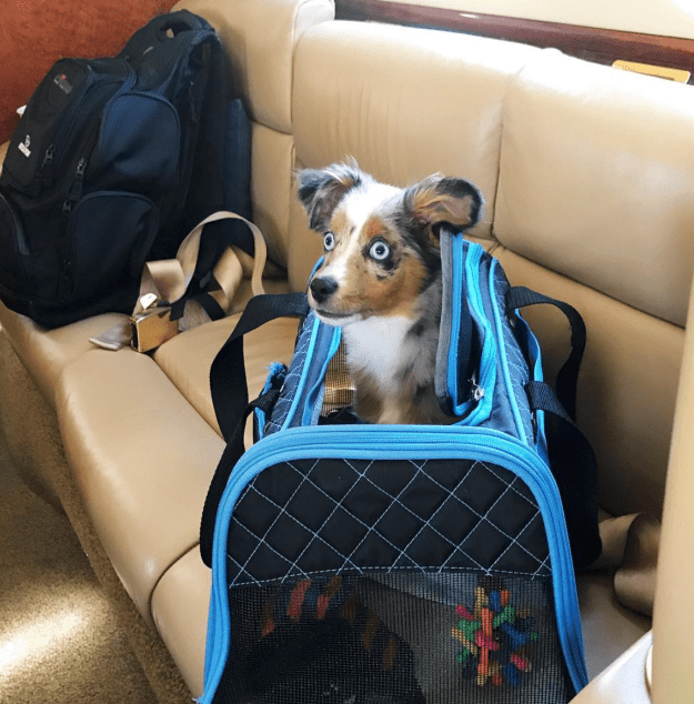 Screen Shot 2018-10-23 at 6.05.02 PM.png