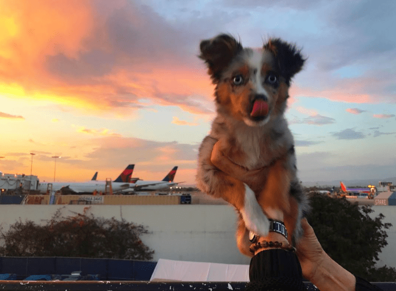 Screen Shot 2018-10-23 at 6.38.13 PM.png