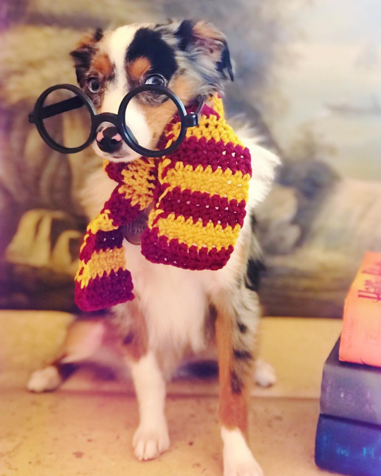 Screen Shot 2018-10-25 at 1.49.26 PM.png