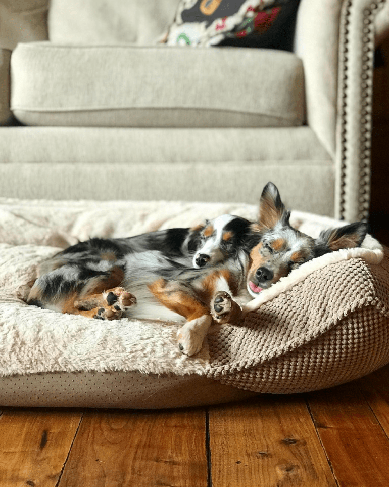 Screen Shot 2018-10-28 at 8.46.35 PM