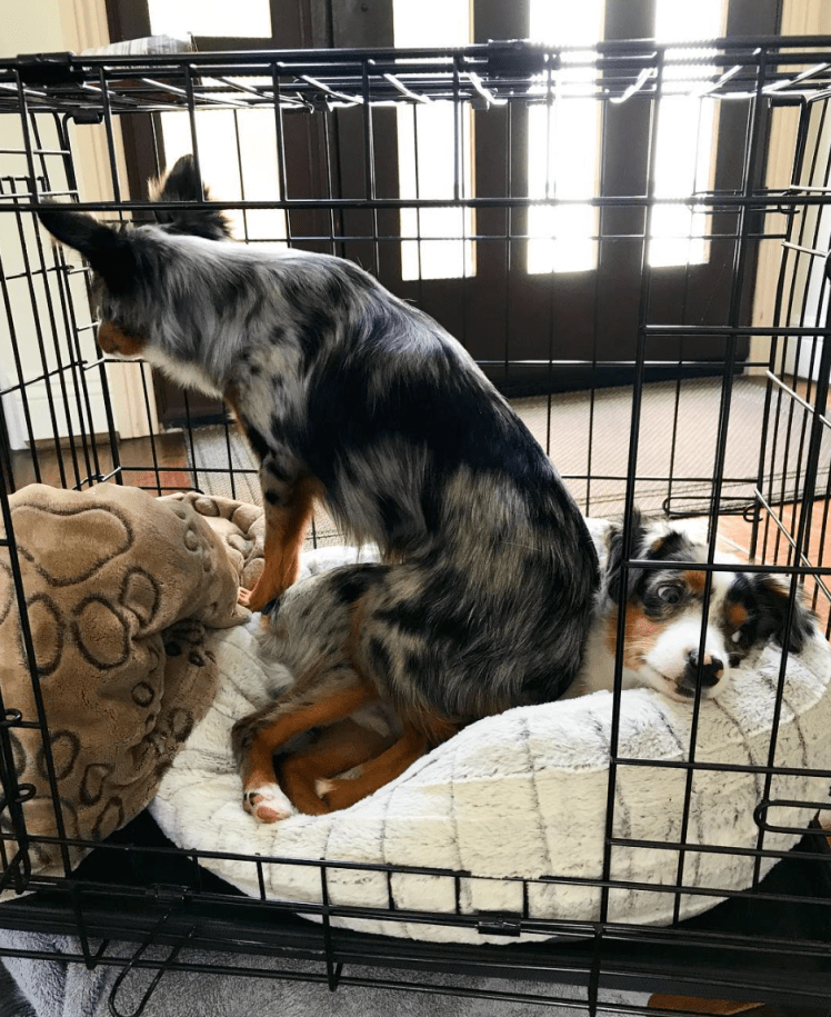 Screen Shot 2018-10-29 at 10.33.23 PM.png