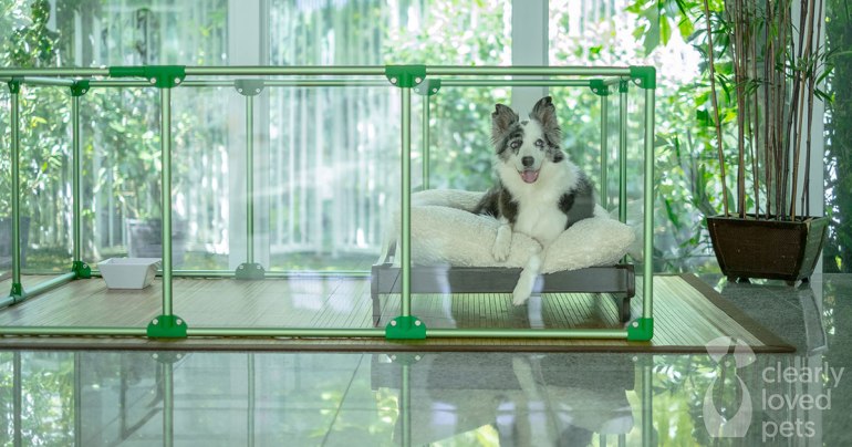 slideshow-20000-6284