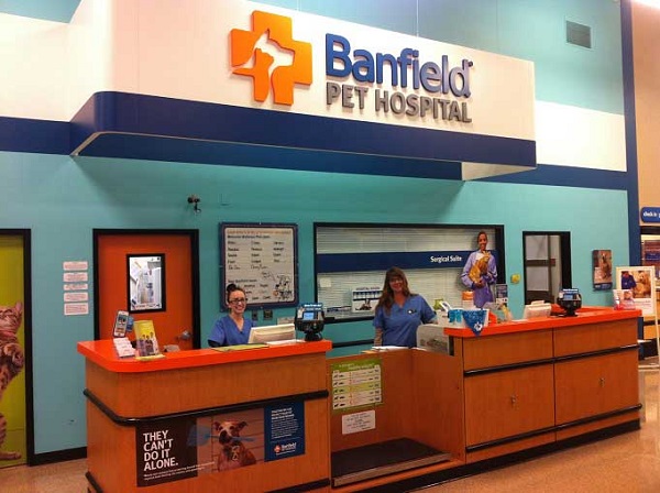 10-Banfield-Pet-Hospital-Office-Visit-Consultation