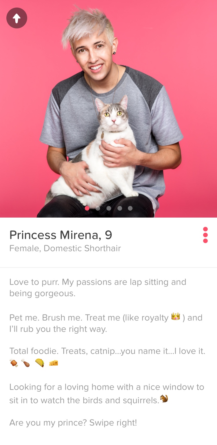 ad8ab3f8-203b-432c-a348-eb1702dc8d57