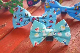 AfterlightImage 20.jpg