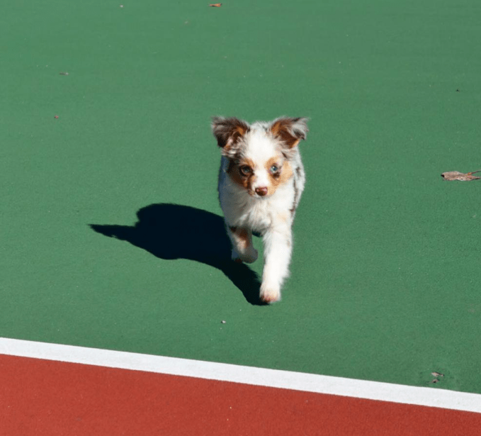 Screen Shot 2018-11-01 at 1.56.55 PM.png