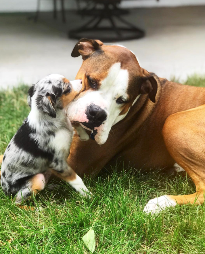 Screen Shot 2018-11-01 at 2.00.00 PM.png