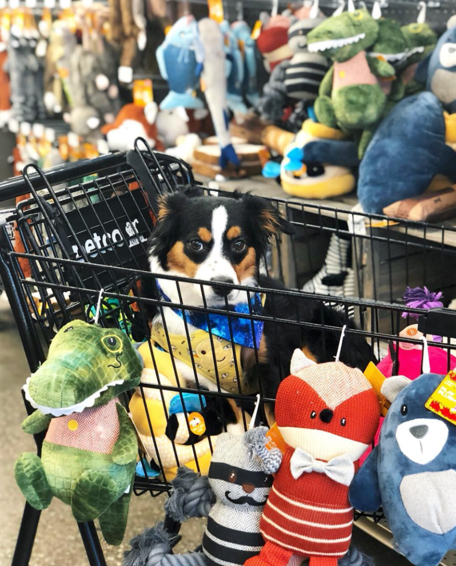 Screen Shot 2018-11-02 at 7.26.52 PM.png