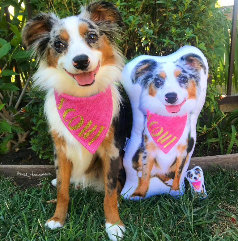 Screen Shot 2018-11-04 at 9.40.22 AM.png