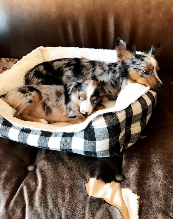 Screen Shot 2018-11-08 at 2.15.48 PM.png