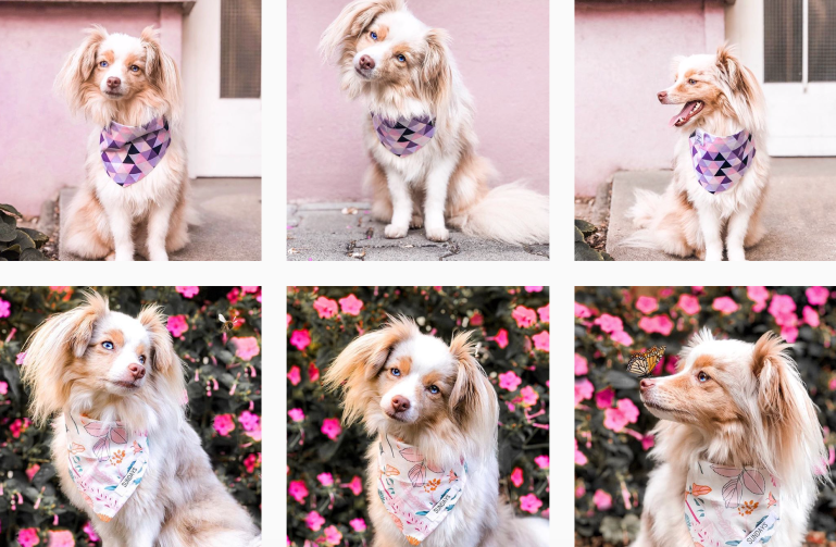 Screen Shot 2018-11-10 at 5.14.06 PM.png