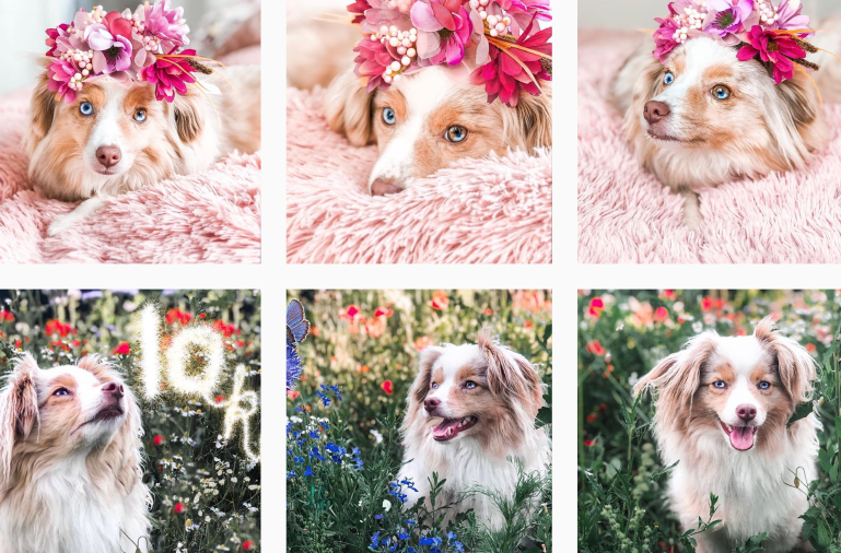 Screen Shot 2018-11-10 at 5.15.14 PM.png