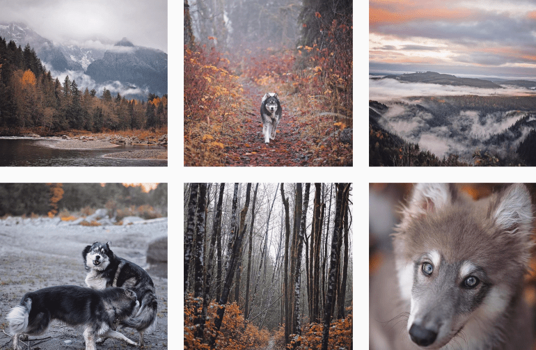 Screen Shot 2018-11-10 at 5.26.05 PM.png