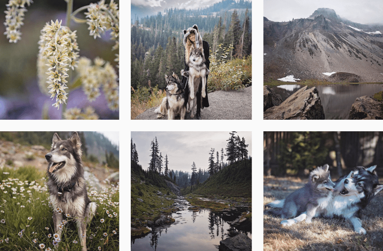 Screen Shot 2018-11-10 at 5.26.40 PM.png