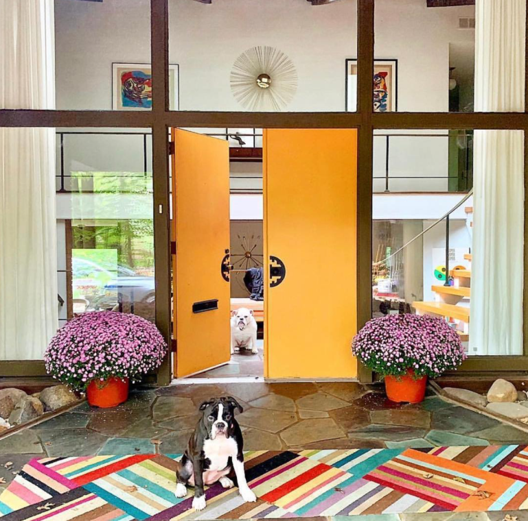 Screen Shot 2018-11-10 at 6.56.06 PM