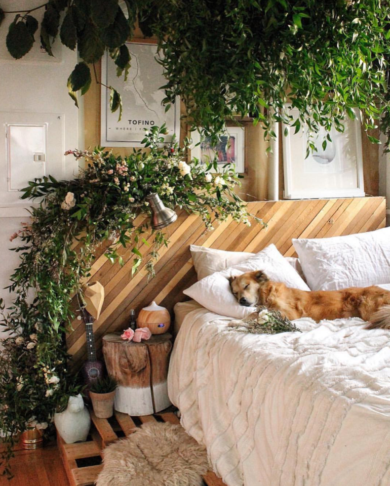 Screen Shot 2018-11-10 at 6.57.15 PM