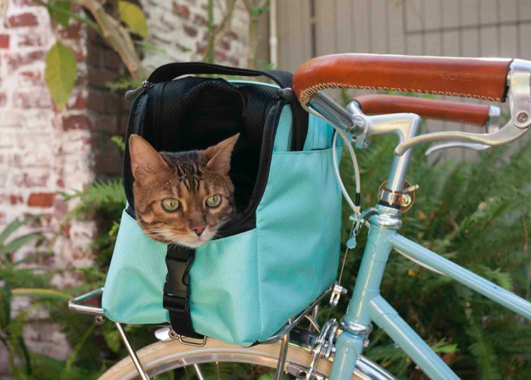 Screen Shot 2018-11-11 at 7.28.17 PM.png