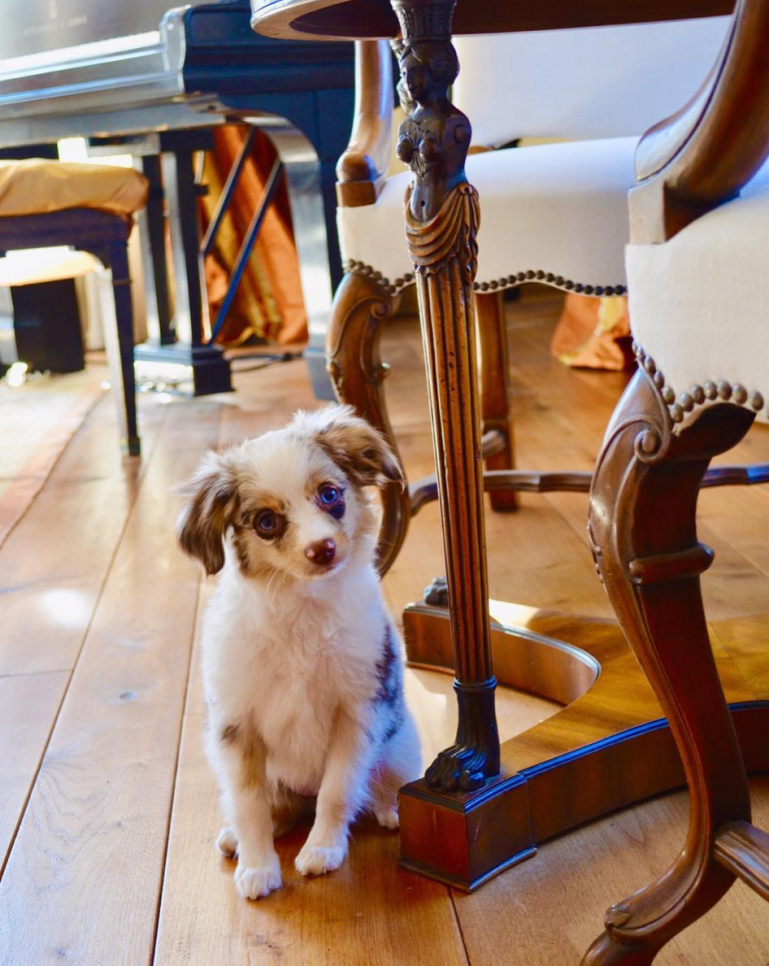 Screen Shot 2018-11-13 at 6.26.14 PM