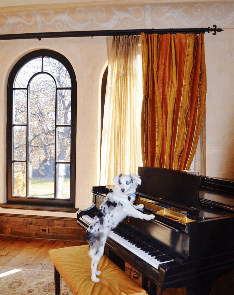 Screen Shot 2018-11-14 at 9.18.25 AM