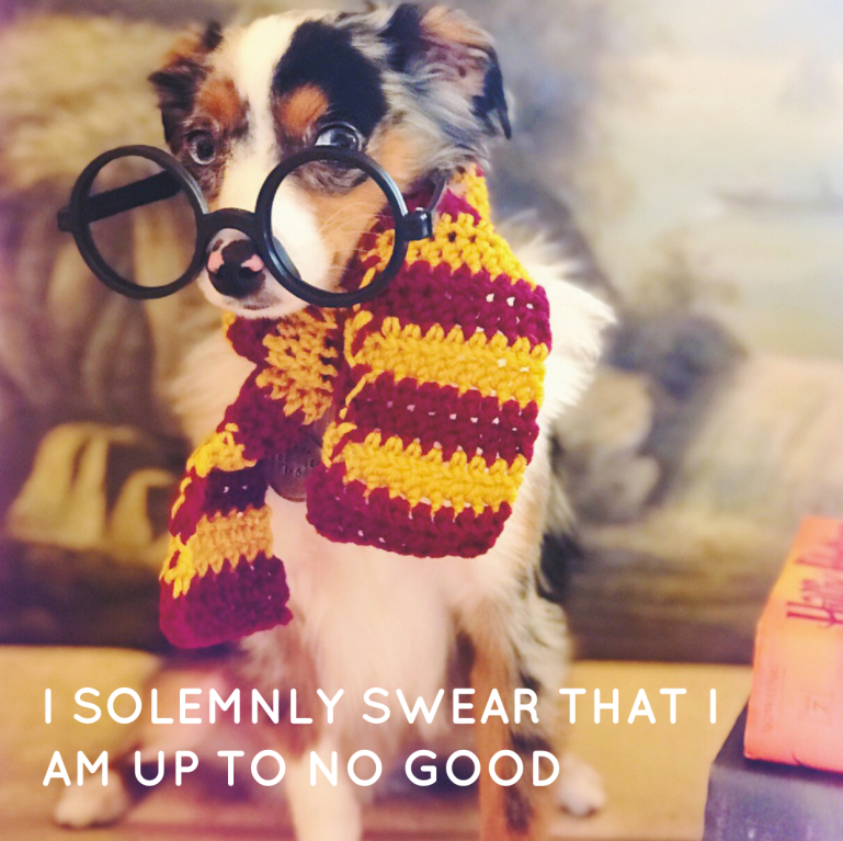 Screen Shot 2018-12-20 at 5.41.16 PM