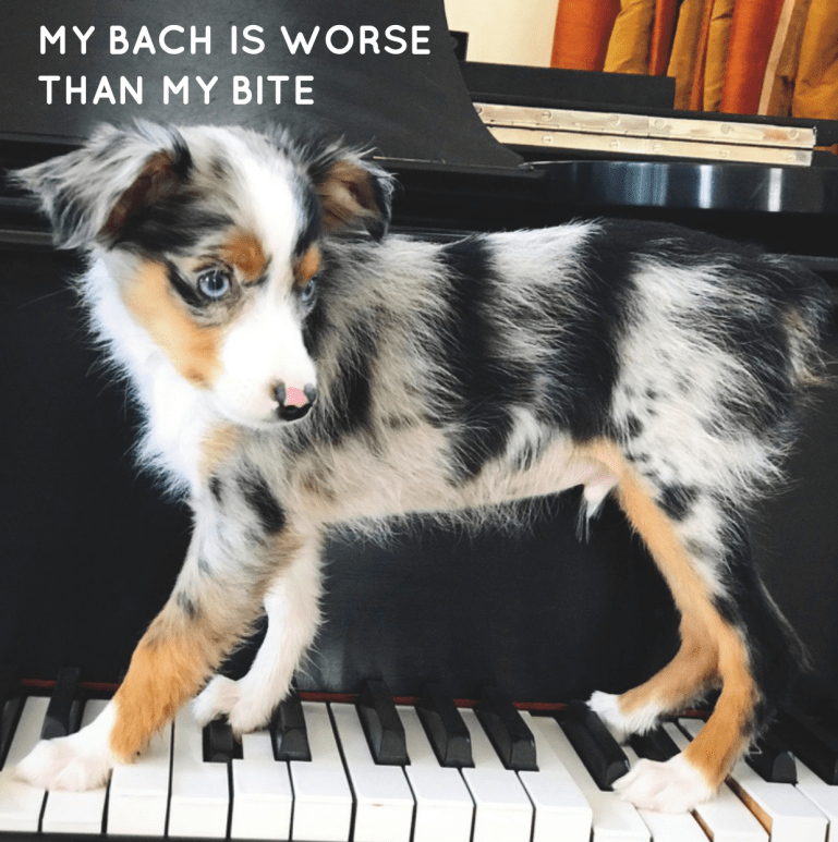 Screen Shot 2018-12-20 at 5.41.39 PM