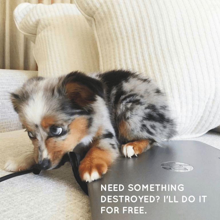 Screen Shot 2018-12-20 at 5.41.48 PM