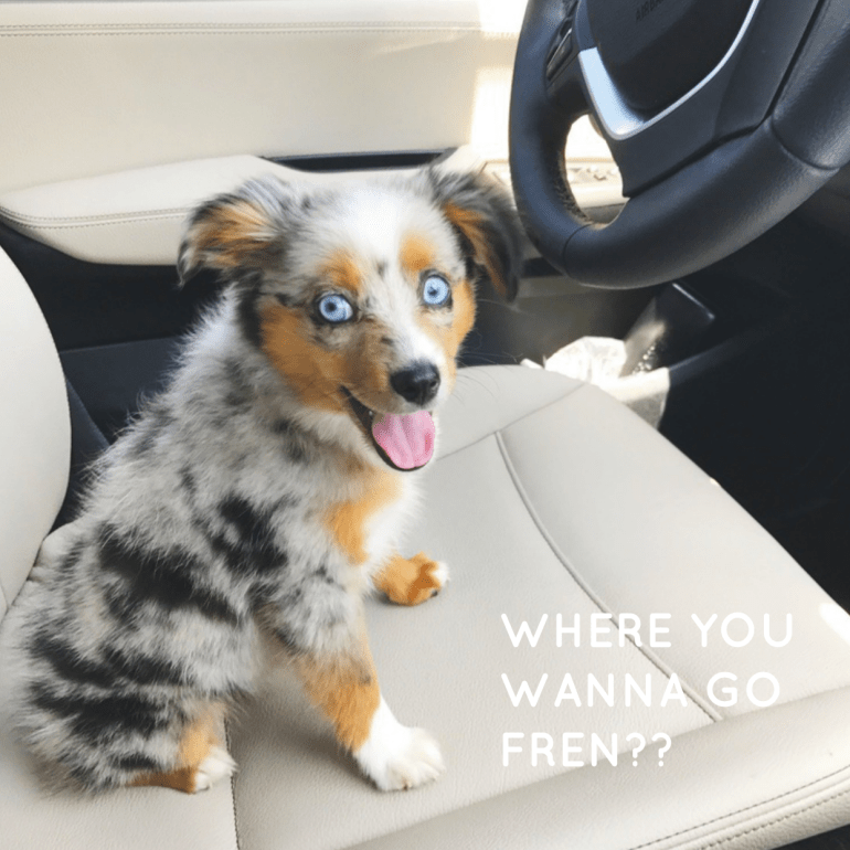 Screen Shot 2018-12-20 at 5.41.54 PM