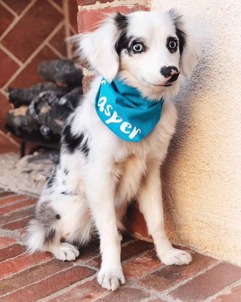 Screen Shot 2018-12-22 at 11.06.26 PM.png