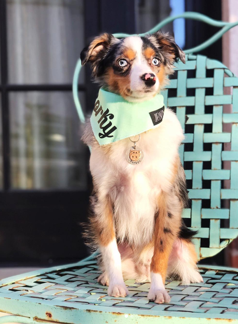 Screen Shot 2018-12-22 at 11.06.40 PM.png