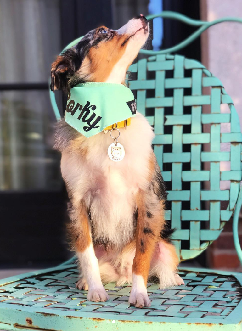 Screen Shot 2018-12-22 at 11.06.48 PM.png