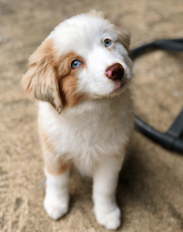 Screen Shot 2018-12-22 at 11.20.23 PM.png