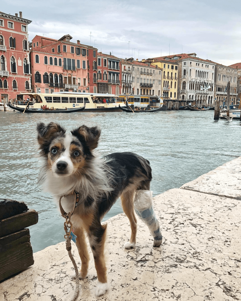 Screen Shot 2018-12-22 at 11.34.06 PM.png