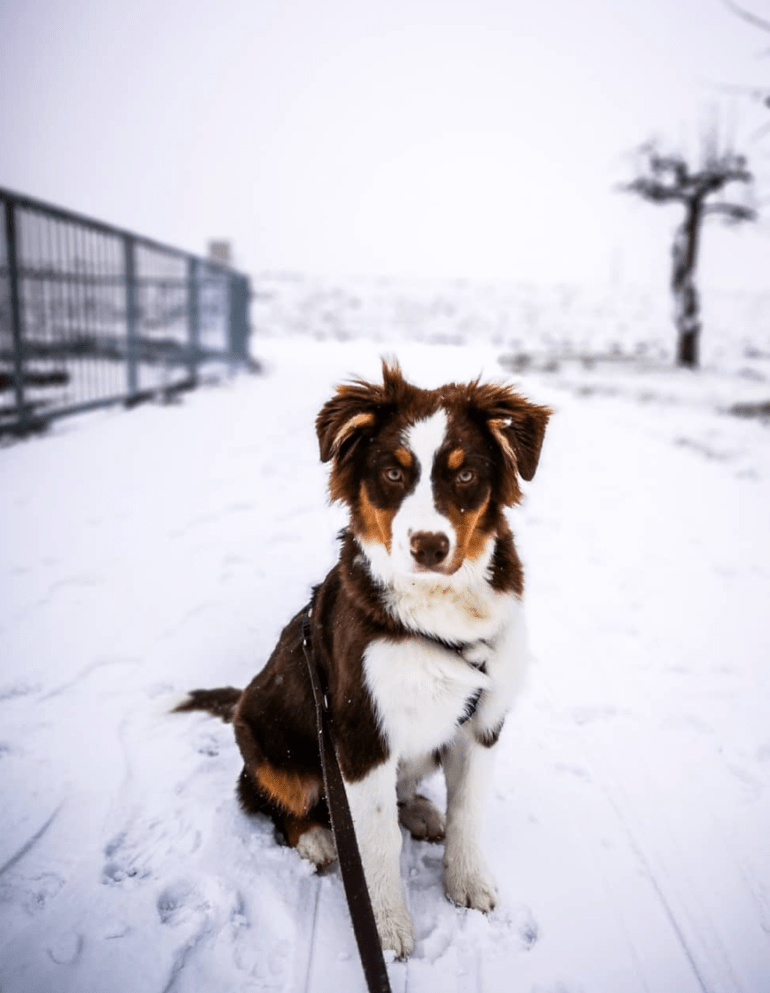 Screen Shot 2018-12-22 at 11.35.27 PM.png