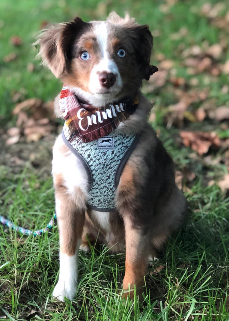 Screen Shot 2018-12-22 at 11.39.48 PM.png