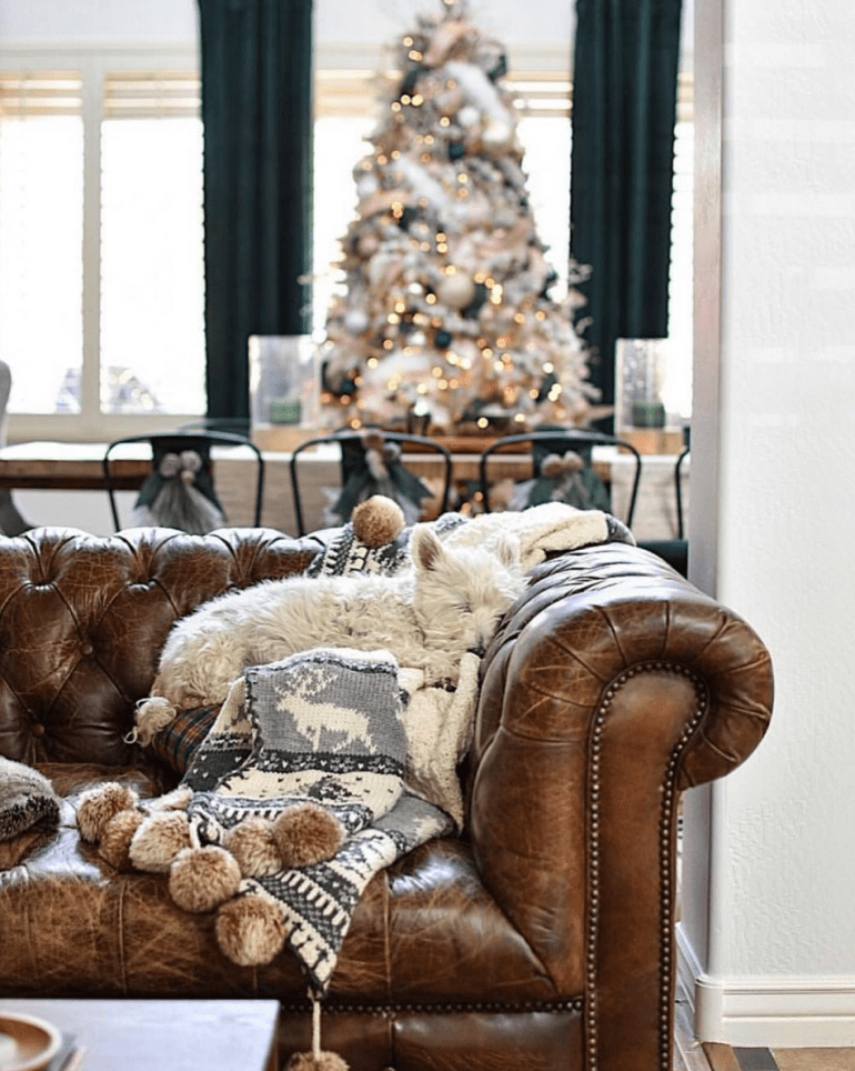 Screen Shot 2018-12-26 at 1.19.08 PM