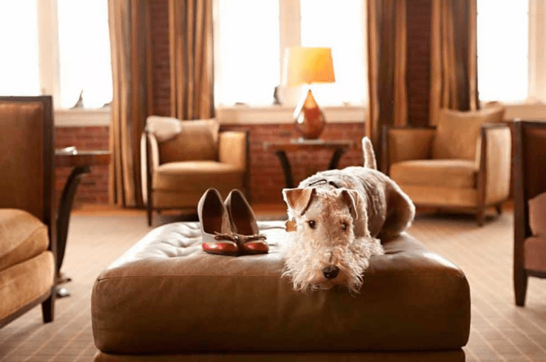 Screen Shot 2018-12-26 at 1.22.17 PM