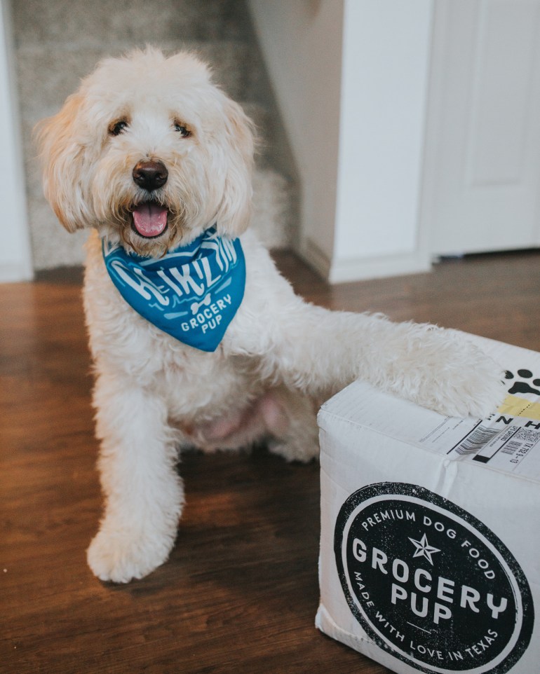 grocery_pup_dog_food_meal_delivery_02.jpg