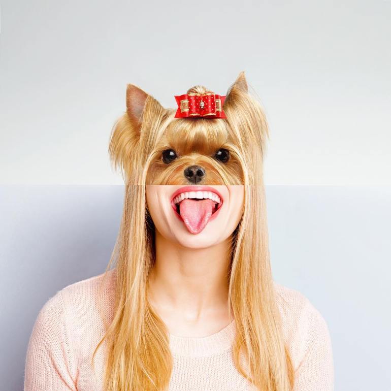 combophoto_stephen_mcmennamy_02