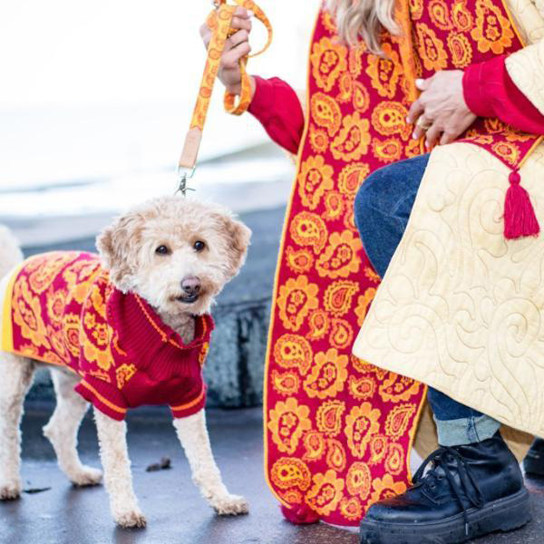 hirowolf-paisley-collection