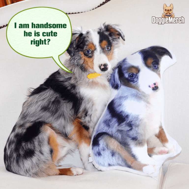 Screen Shot 2019-01-10 at 8.24.19 PM.png