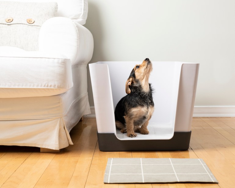 doggy_bathroom_indoor_potty_01