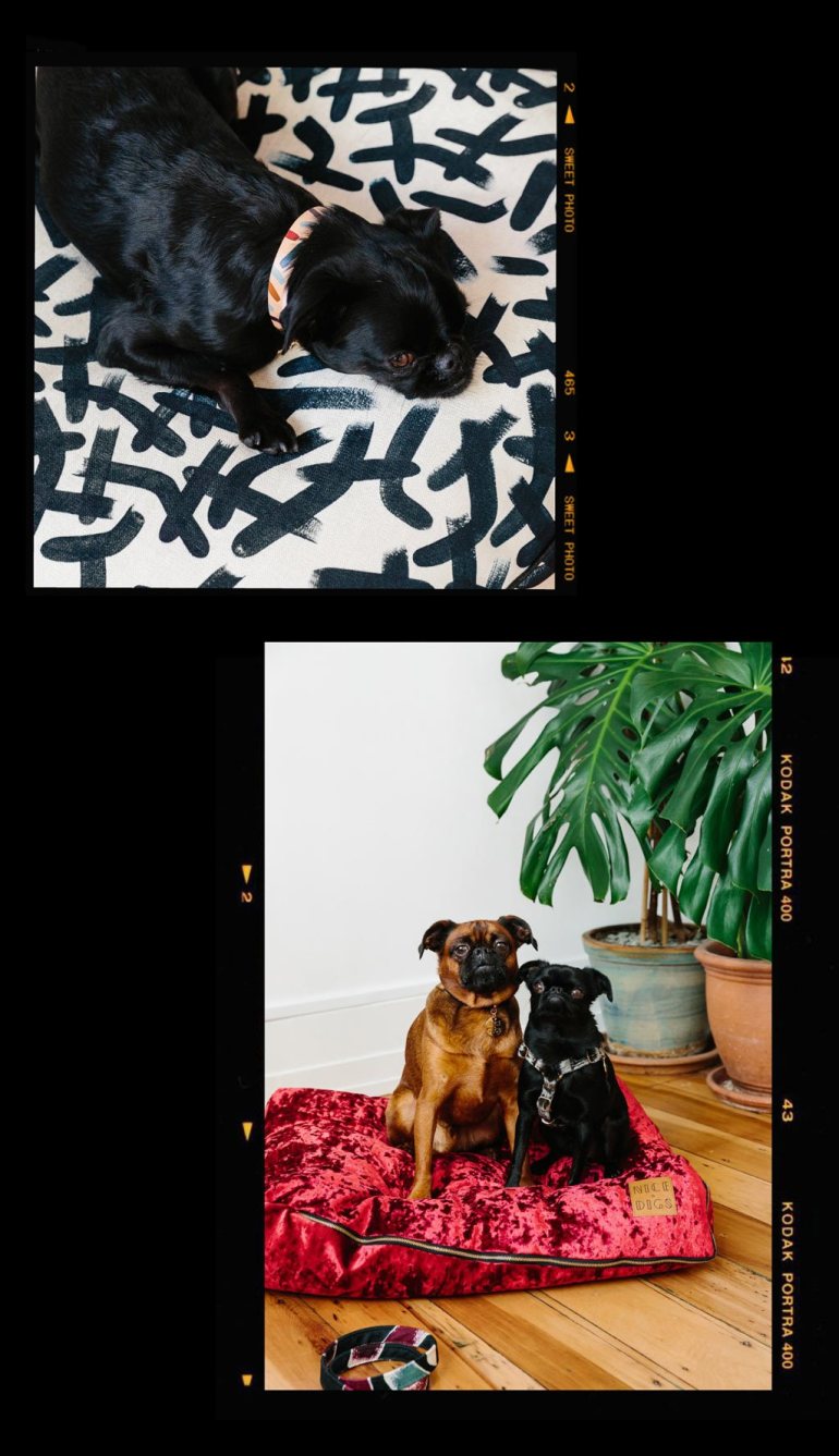 Low-Key-2019-Collection-Lookbook-Nice-Digs-10a