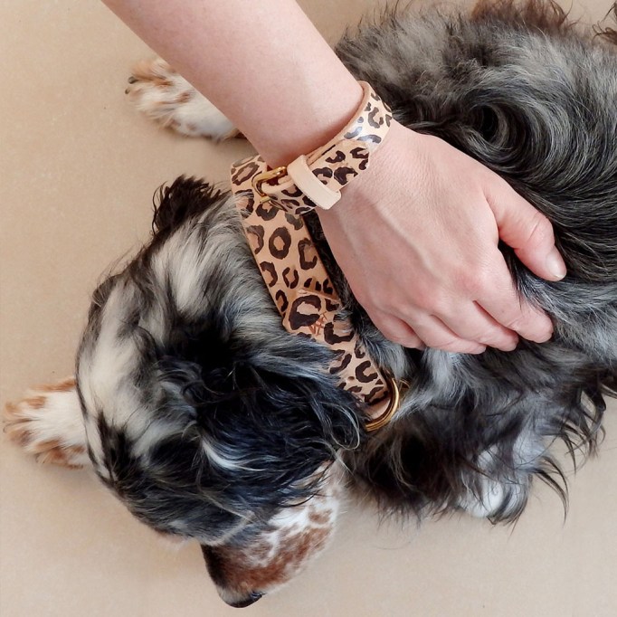 MaximCustoms-DIY-painted-dog-collar-KIT_05