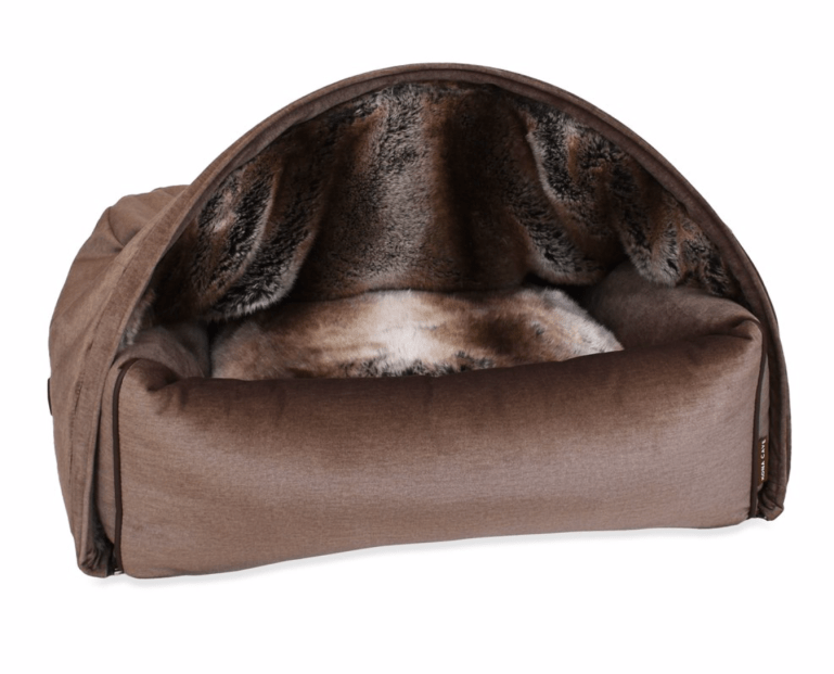 Screen Shot 2019-08-19 at 6.03.05 PM